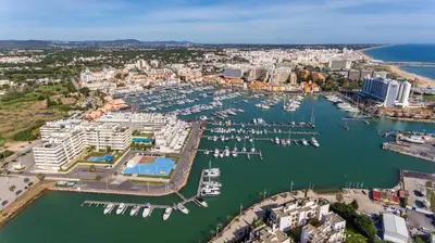 an aerial view of a beach and the ocean at Balaia 3BR Sunny Terrace in Albufeira