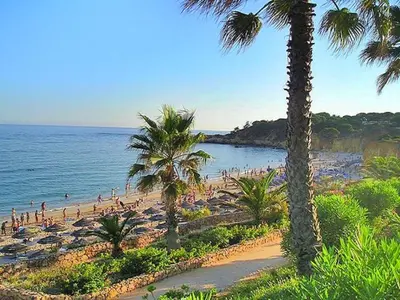 a beach with palm trees and a bunch of people at V4, Villa Jardins Branqueira7 near Beach, Albufeira in Albufeira