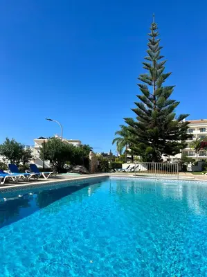 a large swimming pool with a pine tree in the background at Albufeira-Sea View/pool Casa Sara Linnea 1bedroom in Albufeira