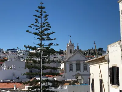 a pine tree in front of a white building at Apartamento Flor de Amendoeira in Albufeira