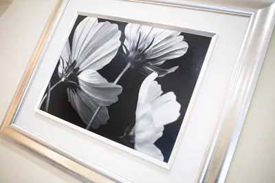 a black and white photo of flowers in a picture frame at Sunny, The House - AL in Faro