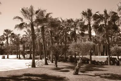 a black and white photo of a park with palm trees at Herdade dos Salgados - 2 Bedroom in Guia