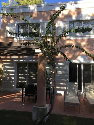 a small tree in front of a building at House´s Golf in Almancil