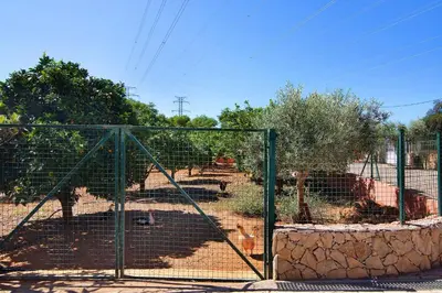 a zoo with a gate with animals in it at At-tunis in Tunes