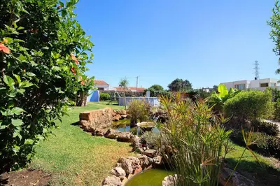 a garden with a pond in a yard at At-tunis in Tunes