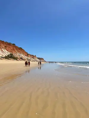 a group of people walking on the beach at Varanda para o Mar in Albufeira