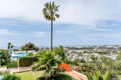 a palm tree on the roof of a house at #158 T3 Panorama C by Home Holidays in Albufeira