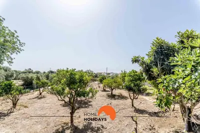 a field of trees with a sign that says home holidays at #178 Monte das Churras 1 by Home Holidays in Albufeira