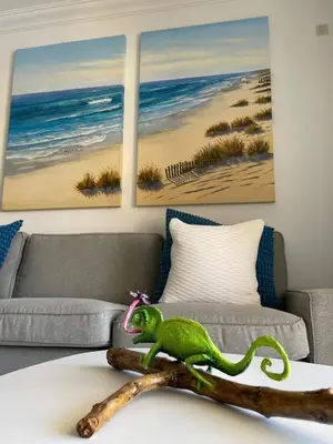 a green lizard sitting on a table in a living room at Praia Village AG in Vilamoura