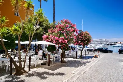 a sidewalk with tables and chairs and trees and pink flowers at Seaview Serenity with Pool & Garden in Quarteira