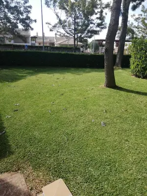 a green field with a tree in a park at Villa V2 V in Olhos de Água