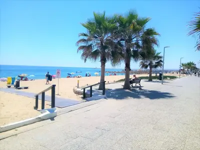 a beach with palm trees and people on the beach at T1 MIRA PRAIA a in Quarteira