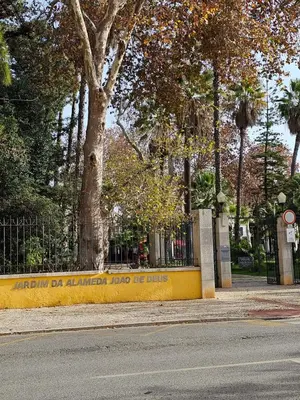 a yellow wall with a tree in a park at Casa Jasmim in Faro