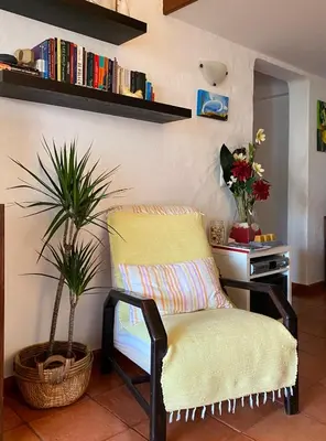 a chair and a potted plant in a room at Casa Linda da Praia do Alfamar in Albufeira