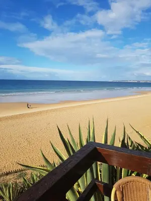 a view of a beach with a bench and the ocean at Praia da Galé, 250m da Praia e Piscina in Galé