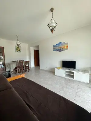 a living room with a couch and a tv at Apartamento T1 todo equipado in Albufeira