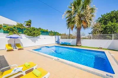 a swimming pool with chairs and a palm tree at Villa Marco in Galé