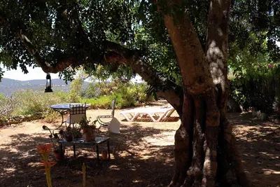 a picnic table under a tree next to a table at Quinta Amarela XL by Portucasa in Loulé
