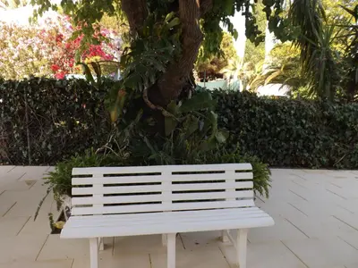 a white bench sitting in front of a tree at Casa Pinheiromar in Albufeira