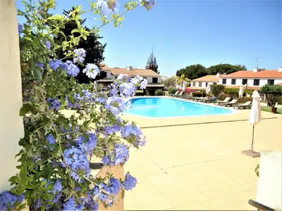a view of a swimming pool with purple flowers at V2 Vilar Jardim Piscina wifi in Quarteira