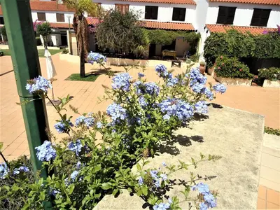 a garden with blue flowers in front of a building at V2 Vilar Jardim Piscina wifi in Quarteira