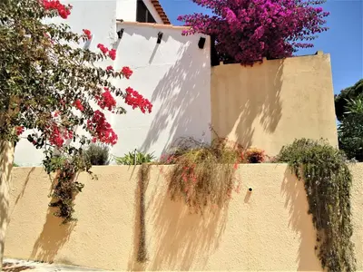 a wall with flowers and plants on top of it at V2 Vilar Jardim Piscina wifi in Quarteira