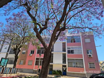 a pink building with trees in front of it at Blife Farensya private rooms near train station in Faro