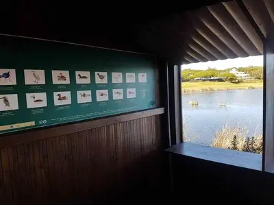 a window in a building with a view of a lake at Ria Formosa Pineview in Faro