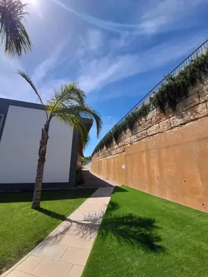 a palm tree in front of a wall at @Rocking Apartments - Quinta da Alvorada in Albufeira