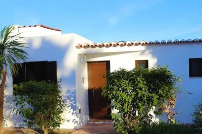 a white house with a door and a palm tree at Excellent 1 Bedroom Villa - em Clube Albufeira Garden Village in Albufeira