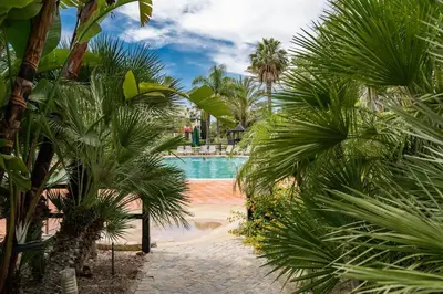 a swimming pool with palm trees in front of it at Palmyra by Intiholidays in Vilamoura
