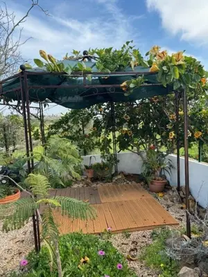 a pergola with potted plants on top of it at Villa GALVANA in Guia
