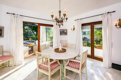 a white flower on a tree branch at Charming Vale Do Lobo Retreat 3 Bedrooms Private Pool & Close To Amenities in Almancil