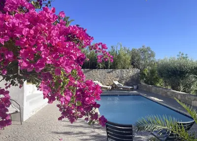 a swimming pool with purple flowers in a yard at Casa Estrela in Loulé