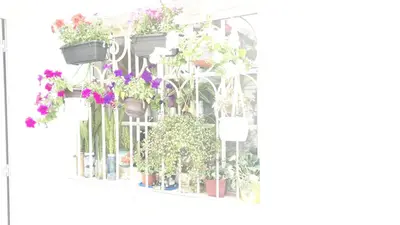 a bunch of potted plants on a fence at Marina Vila Apartment with Pool in Albufeira