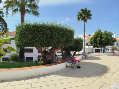 a bench and a tree in a park with palm trees at Cadete house in Albufeira