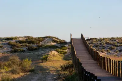 a wooden boardwalk leading up to the beach at Pine Garden Apartment Vilamoura in Vilamoura