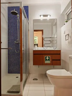 a bathroom with a shower and a toilet and a sink at Apartamento Oura com piscina e vista mar in Albufeira