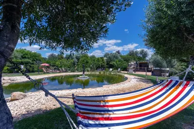 a hammock hanging from a tree in a park at The Quinta Retreat Algarve Available to Facilitators yoga & sound therapies, massage mindfulness in Almancil