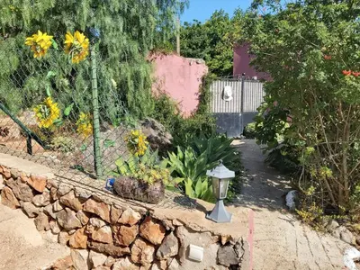 a garden with a stone wall and a fence at Bela Vista House - Quinta amoreira in Benafim