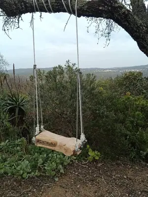 a swing hanging from a tree at Bela Vista House - Quinta amoreira in Benafim