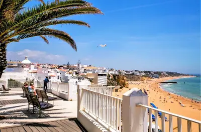 a view of a beach with a palm tree and the ocean at Algarvian Experience - Sun, Beach and Pool in Albufeira