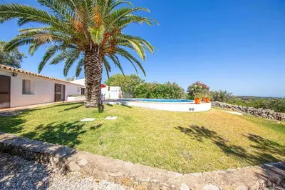 a palm tree in a yard with a swimming pool at Casa Nomanico in Estói