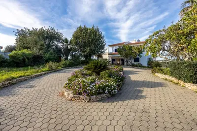 a brick driveway with a plant in front of a house at Casa Neel in Boliqueime