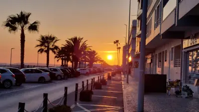 a street with parked cars and palm trees at sunset at NORA Studio in Quarteira