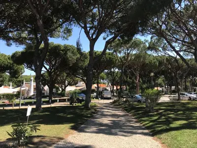 a tree lined path in a park with parked cars at TAC - Açoteias Budget Studio in Olhos de Água