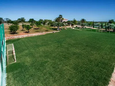 a pink house with a palm tree at Villa Quinta Valente VIP Properties by Interhome in Silves