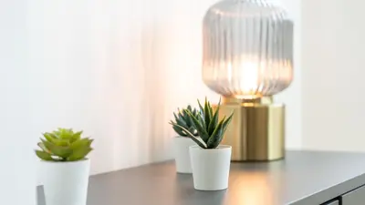 a table with three potted plants and a lamp at Modern Retreat 2 in Faro by Lovelystay in Faro