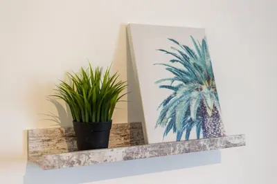 a plant on a shelf next to a picture at Blife Faya private rooms in Faro