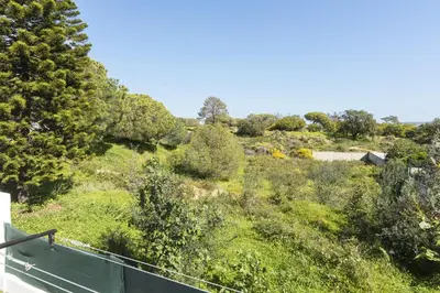 a view of a hill with trees and bushes at Vila Branca - V3 by HD PROPERTIES in Quarteira